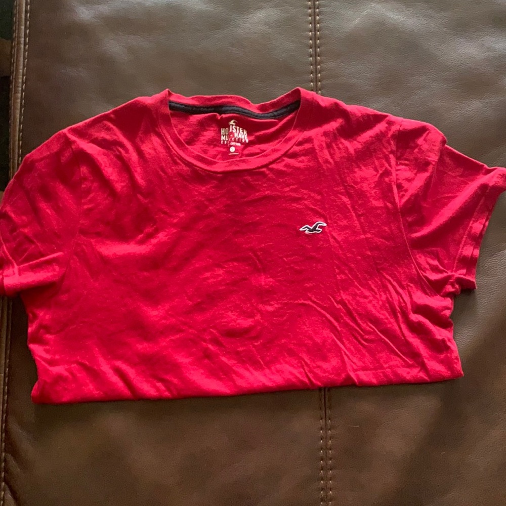 hollister shirt